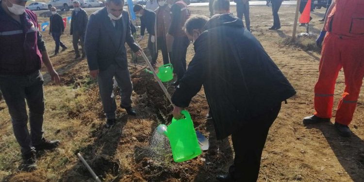 Beyşehir’de ağaçlandırma seferberliği