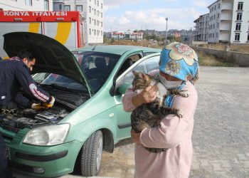 Otomobilden kedi kurtarma operasyonu