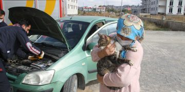 Otomobilden kedi kurtarma operasyonu