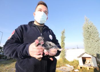 Alkışlar Koronavirüs Savaşçısı Sağlıkçılara