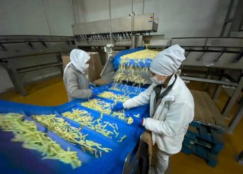 Bölgemiz patatesin de üretim merkezi oldu